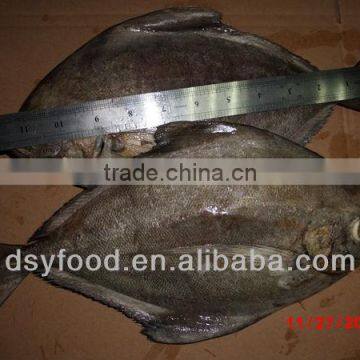 frozen black pomfret fish whole round