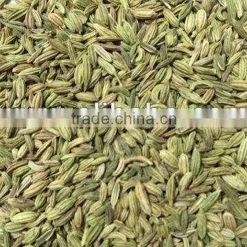 Fennel Seeds