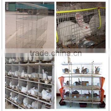 Decorative Rabbit Fencing /rabbit Cages /stainless Steel Welded Wire Fence Producted by China Suppliers photo-6