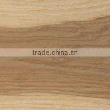 Northern Hickory photo-2