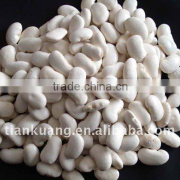 white Kidney beans