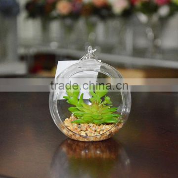 Wholesale Geometric Glass Terrarium Mini Succulent Plant