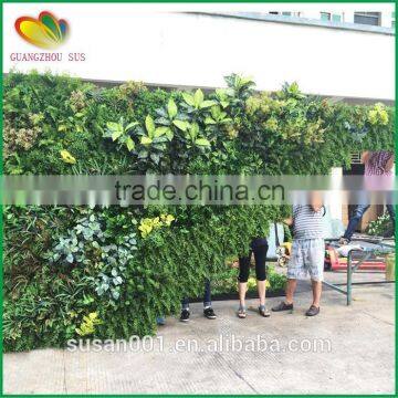 2016 New Design Vertical Green Wall Artificial Green Wall for Home Decorative Quality Choice photo-4