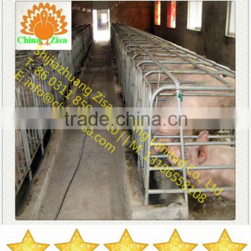 pig raising equipment for sale from china zisa