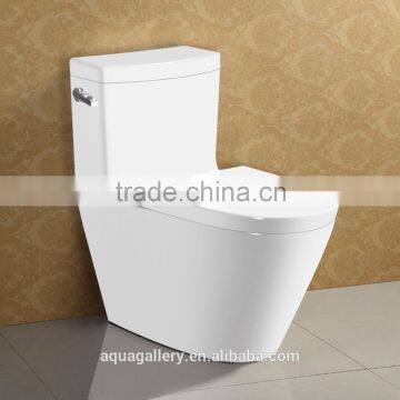 Sanitary Ware WC Item Ceramic Water Closet