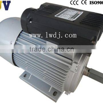 YL Two-value Capacitor Single-phase Motor 112M2