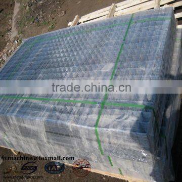 Galvanized Welded Wire Mesh Aviary Wire Mesh photo-5