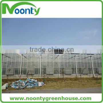 Glass Greenhouse