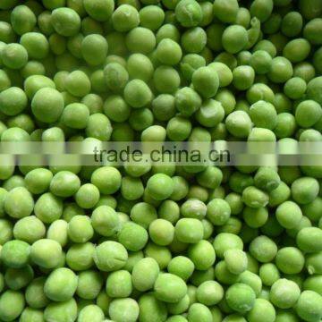 Food Specification Frozen Green pea