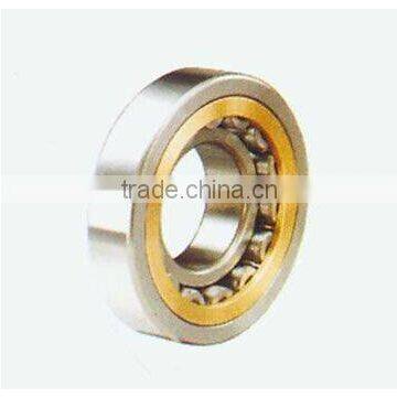 High Precision and Cheap Deep Groove Ball Bearing 61830M