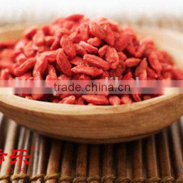 Ningxia Small Red Fruit /goji Berry in Bulk