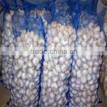 2017 Fresh Pure White Garlic photo-2