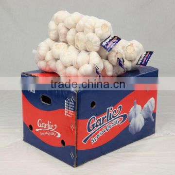 2016 fresh Chinese normal white garlic