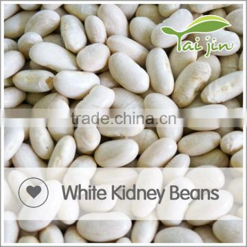 high quality hot sale white kidney beans