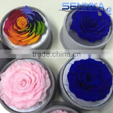 Wedding Favors Gifts Preserved Roses Grade a in Round Flower Gift Box