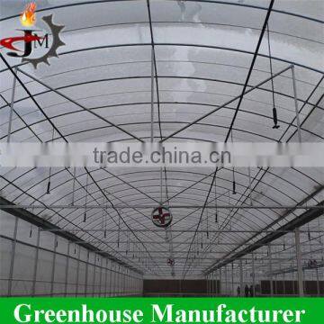 Hot Sale Discount Economical Multi-span Greenhouses