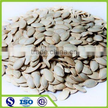 New crop shine skin pumkin seeds 9.5-10cm