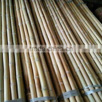 WY-182 2016 Hot sale natural raw dry straight strong agriculture bamboo pole and bamboo stakes