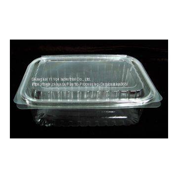 0.3mm Transparent Food Clamshells-Manufacturer in China Yiyou photo-2