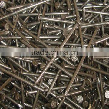 1/2"-13" High Quality Common Nails/ Stainless Steel Nail photo-2
