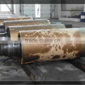 Supplying Abandant High Quality and Competitive Price Casting Roller Series photo-2