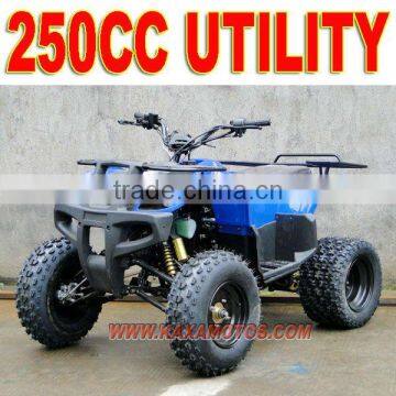 250cc Utility Quad Bike