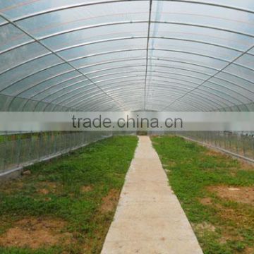 Hot sale low price tunnel greenhouse growing vegetable