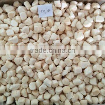 frozen Chlemy nobilis bay scallop for sale