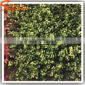 50cm L x 50cm W artificial green leaf grass boxwood hedge fence 20160622