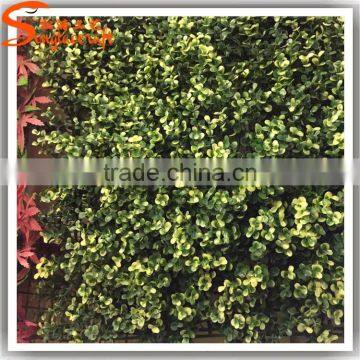 50cm L x 50cm W Artificial Green Leaf Grass Boxwood Hedge Fence 20160622