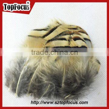 Wholesale Down Pheasant Partridge Plumage Natural Pheasant Feathers Prices photo-2