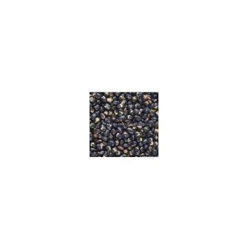 Black Bean