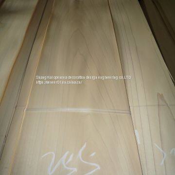 Natural North America yellow poplar mountain grain wood veeer