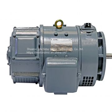 good factory 110v seperated excitation motor