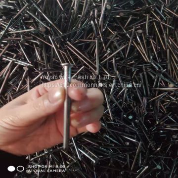 Anping Factory supply common nails 1''-6''