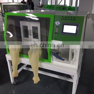 Wholesale Medical Incubator Lab Anaerobic Incubator For Cultivation Bacteria photo-5