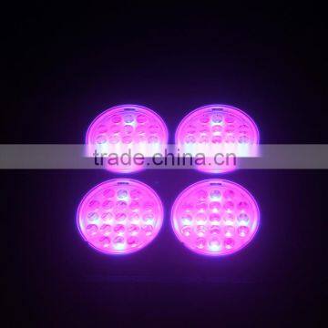 Red/blue/ White/UV Emitting Color SP600 Full Spectrum LED Grow Light for Indoor Plant Growing photo-2