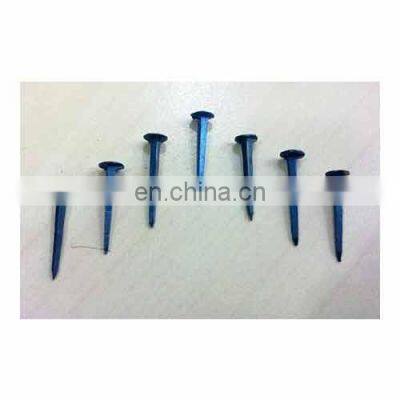 Hot Sales High Quality Shoe Tacks Nails photo-5