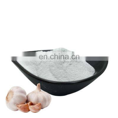 Wholesale price 100% natural garlic extract powder pure garlic powder