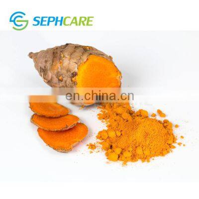 Sephcare Plant Extract Turmeric Curcumin Color Powder Nano Curcumin