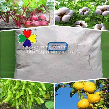 Agrochemicals Dcpta for Plant Rooting Dcpta 98TC CAS 65202-07-5 photo-2