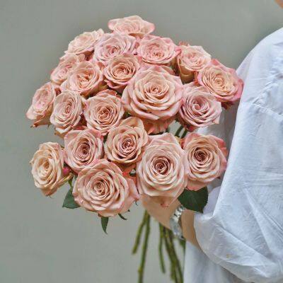 Cappuccino Rose Wholesale Price Flower Fresh Cut Roses Party and Wedding Decoration Rose photo-5