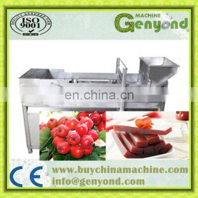 Hawthorn Making Machine Fruit Danpi Leather Machine Stainless Steel