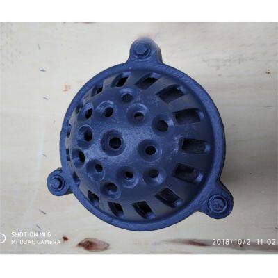 High Quality BS Standard DN150mm Cast Iron PN16 Thread Foot Valve Use for Water Pump photo-3