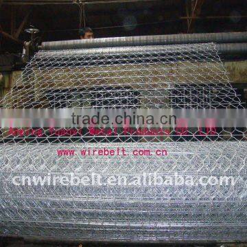 gabion