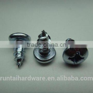 China factory fasteners screw hidden cemera