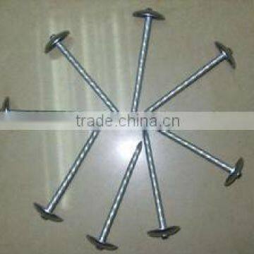 Galvanzied roofing nails(exporter)