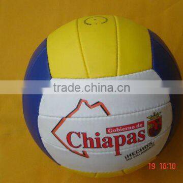 PU Training Volleyballs