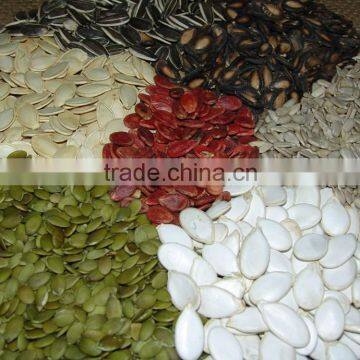 PUMPKIN SEED/SHINE SKIN PUMPKIN SEED
