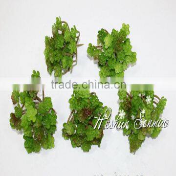 Natural Look Wholesale Price Artificial Tropical Plant Plastic Material Succulent Plant for Green Wall photo-2